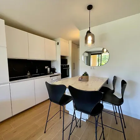 Apartamento - Superbe 2 Pieces Avec Piscine - Proche Plages Et Centre Cannes
